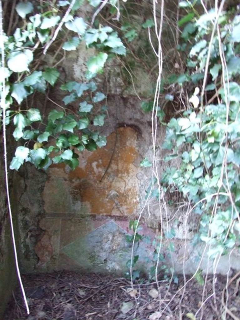 V.3.11 Pompeii. March 2009. West wall of garden room. According to NdS, at the north end of the garden was a windowed triclinium. The dado was of imitation marble. The walls were decorated with a yellow background and in the centre of each of the three walls was a medallion with a bust of a maenad. The right one showed a maenad crowned with vine leaves, dressed in a green peplos pinned on the right shoulder by a gold brooch. In the middle was a bust of a blonde woman with a diadem and gold necklace and fine white veil (Ariadne?). On the left was another crowned feminine head, with gold necklace and fine veil. See Notizie degli Scavi, 1902, (p.372)
According to Bragantini, the west wall at the south end would have had a dado of imitation marble with a decorative picture of a diamond shape. In the yellow middle zone would have been a decorative bordered panel. In the yellow middle zone of west wall at the north end would have been a painted panel, but nothing remained.
See Bragantini, de Vos, Badoni, 1983. Pitture e Pavimenti di Pompei, Parte 2. Rome: ICCD. (p.80, room I)