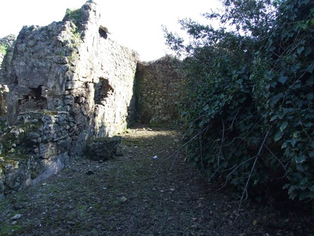 V.3.11 Pompeii. March 2009. Looking south across Garden.