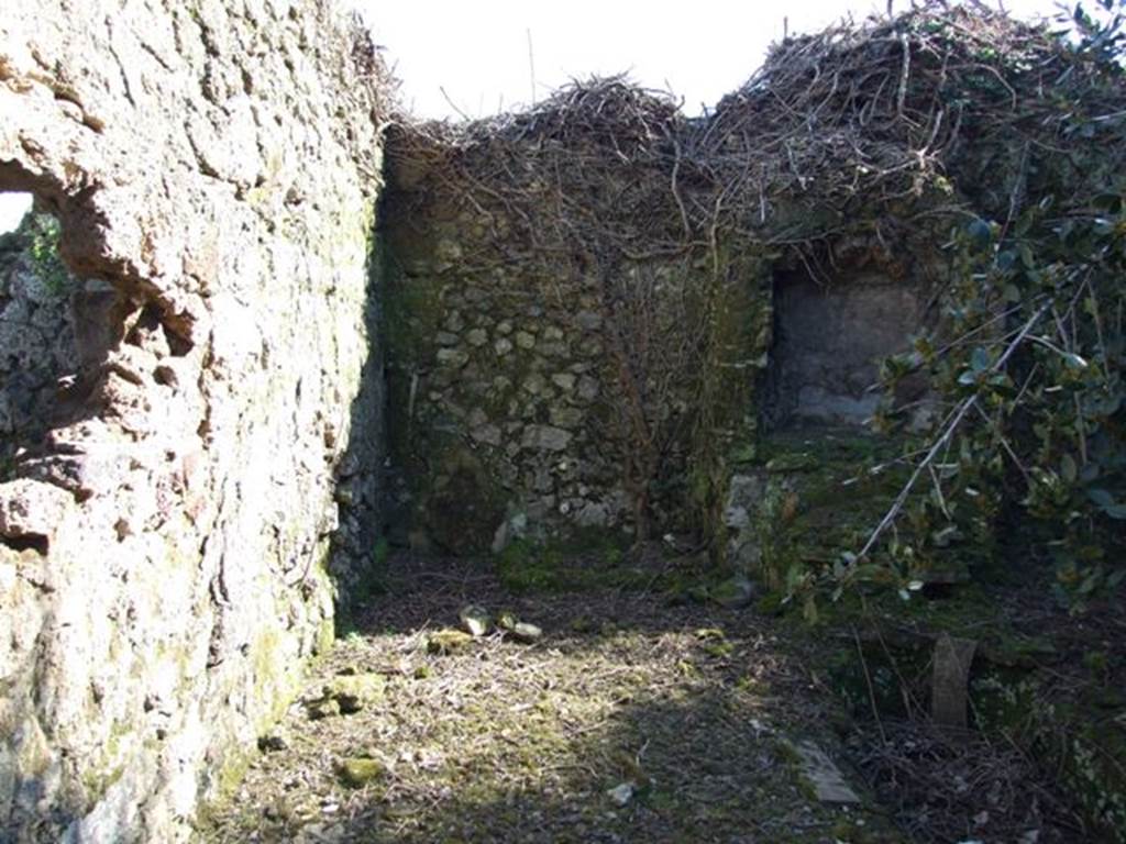 V.3.11 Pompeii. March 2009. South wall of the Garden, with remains of Aedicula shaped fountain niche and Biclinium.