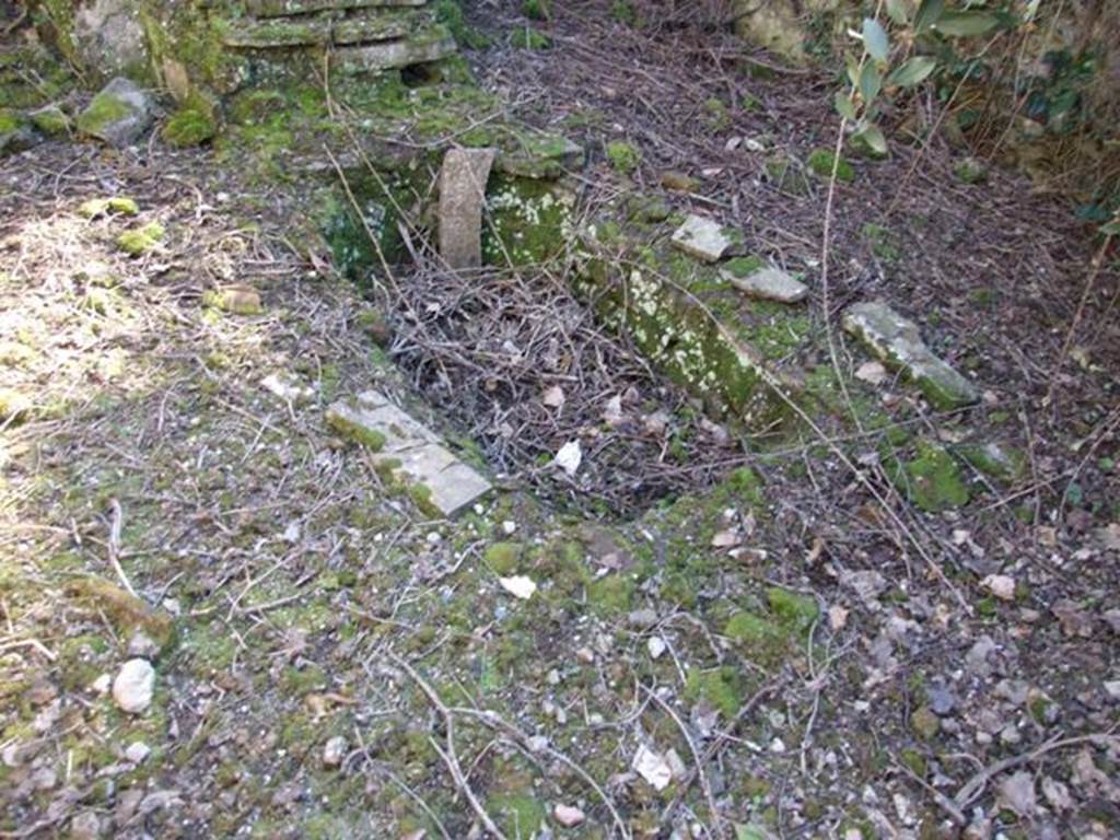 V.3.11 Pompeii. March 2009. Remains of rectangular pool.
