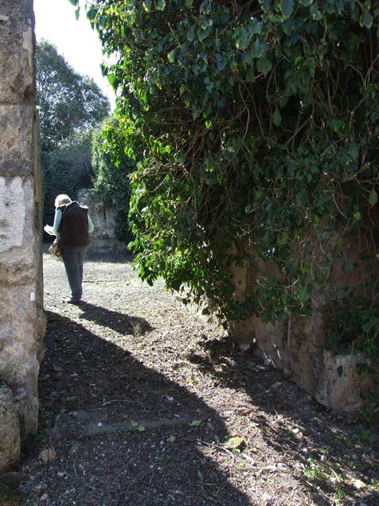V.3.11 Pompeii. March 2009. Entrance doorway. Looking west. According to NdS, the entrance threshold was made of lava. The door was formed of double shutters, but only the right iron door hinge remained. In the door jambs were two rectangular recesses in which were placed the cross-bar to secure the door. The walls of the entrance corridor were painted in black. On the dado were painted plants with large leaves. The large upper panels of the wall were also black, divided by yellow bands, and contained paintings of animals, masks, and landscapes. A graffito of a ship was seen on the left wall, above it one could see white, red and yellow banding placed vertically. See Notizie degli Scavi, 1902, (p.369)