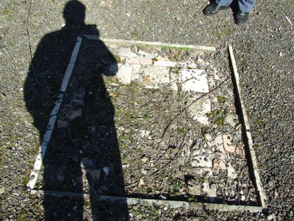 V.3.11 Pompeii. March 2009. Impluvium in Atrium. Looking east.