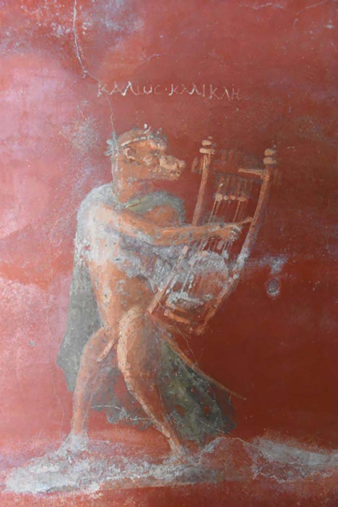 V.3.13 Pompeii. 2022. Room 2b, west wall between 3b and 3c.
Remains of painting of dog with cithara and inscription above found next to the wooden cabinet.
Resti di un dipinto di cane con cetra e iscrizione sopra trovati accanto al gabinetto di legno.
Photograph © Parco Archeologico di Pompei.