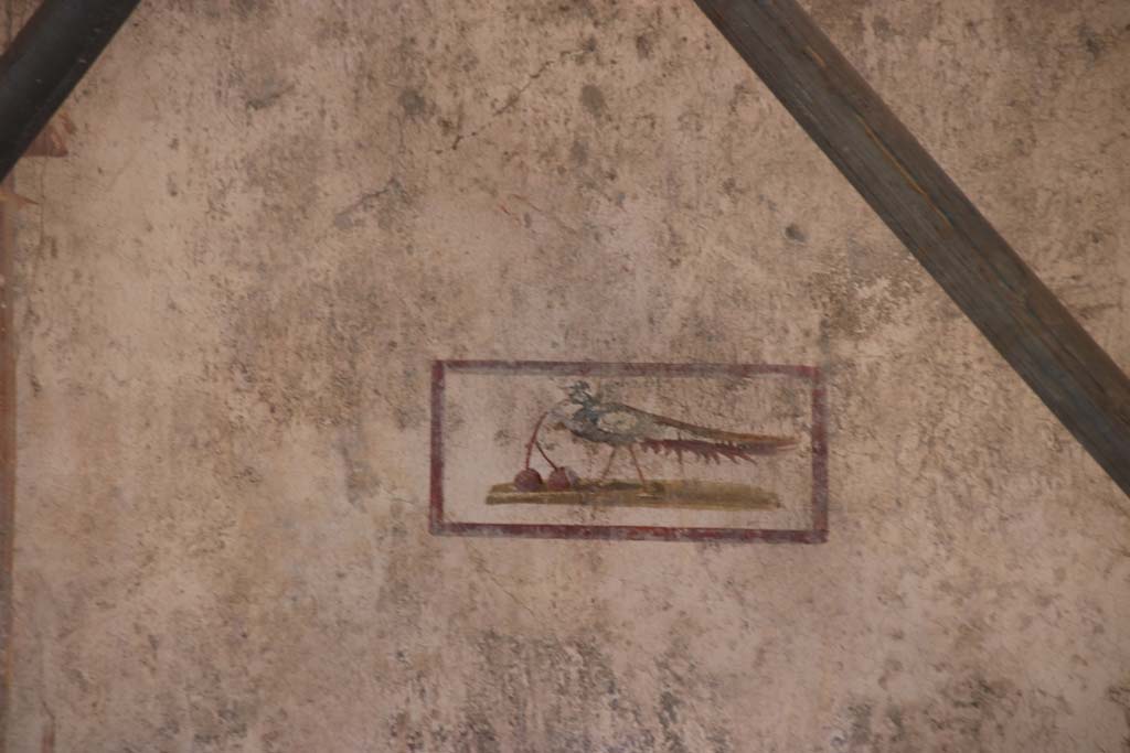 V.3 Pompeii. Casa del Giardino. September 2021.
Room 7, detail of painted panel with bird with cherries from the centre of the west wall. Photo courtesy of Klaus Heese.