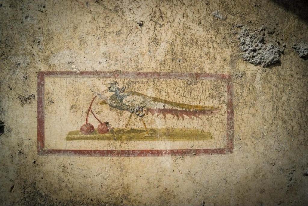 V.3 Pompeii. Casa del Giardino. October 2018. Ambiente 7. Detail of bird with cherries from the centre of the west wall.
Ambiente 7. Particolare di uccello con ciliegie dal centro della parete ovest.
Photograph © Parco Archeologico di Pompei.