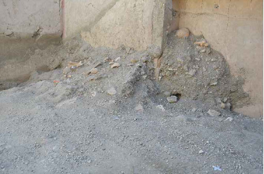 V.3 Pompeii. Casa del Giardino. 2018. Ambiente 8. Remains of skeletons of five victims.
Ambiente 8. Resti di scheletri di cinque vittime.
Photograph © Parco Archeologico di Pompei.