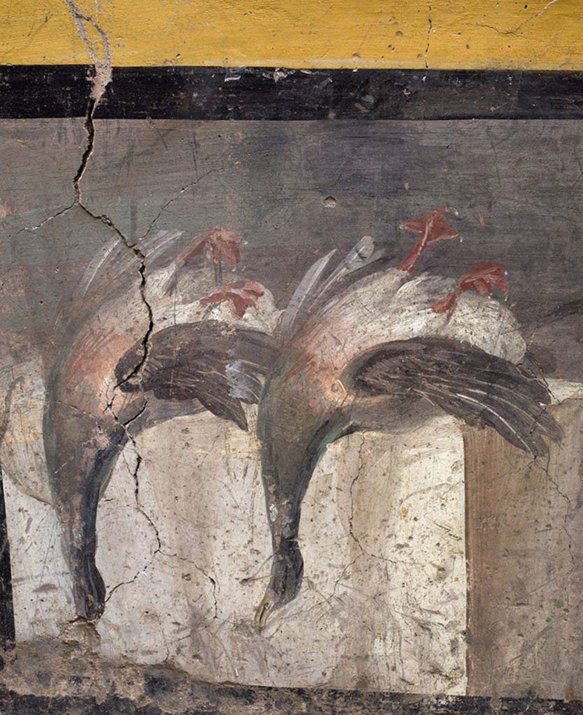 V.3 Pompeii, Thermopolium with painting of nereid. December 2020. Two mallard ducks shown upside down, ready to be cooked and eaten. 
Bone fragments belonging to the same animals were also discovered inside containers embedded in the counter.

V.3 Pompei, Termopolio con dipinto di nereide e anfore. Dicembre 2020. Due anatre germane esposte a testa in giù, pronte ad essere preparate e consumate, e un gallo. 
Frammenti ossei, pertinenti gli stessi animali, sono stati inoltre rinvenuti all'interno di recipienti ricavati nello spessore del bancone. 

Photo by Luigi Spina courtesy of Parco Archeologico di Pompei.
