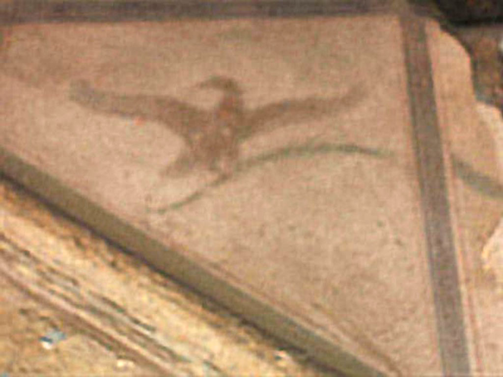 V.4.3 Pompeii. May 2005. Remains of aedicula lararium. Painted bird.
According to Boyce, in each of the triangular panels above the pediment was painted an eagle in flight, holding a palm in its talons.
See Boyce G. K., 1937. Corpus of the Lararia of Pompeii. Rome: MAAR 14. (p.40, no.118)