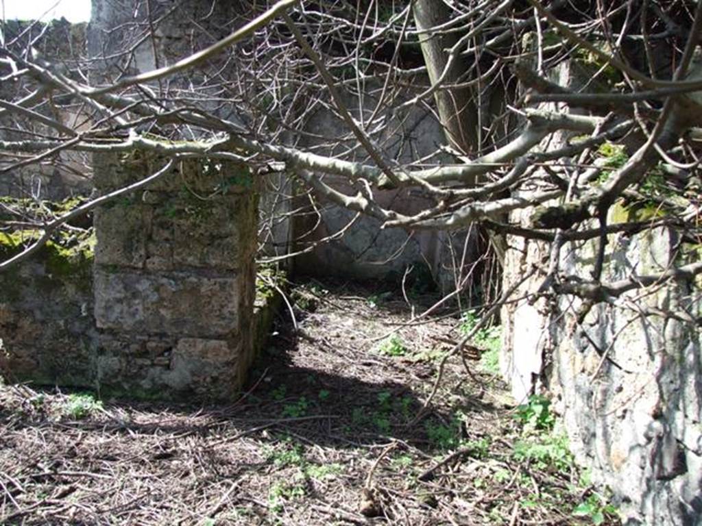 V.4.13 Pompeii. March 2009. Passage on west side of tablinum, between triclinium “R”, and garden.