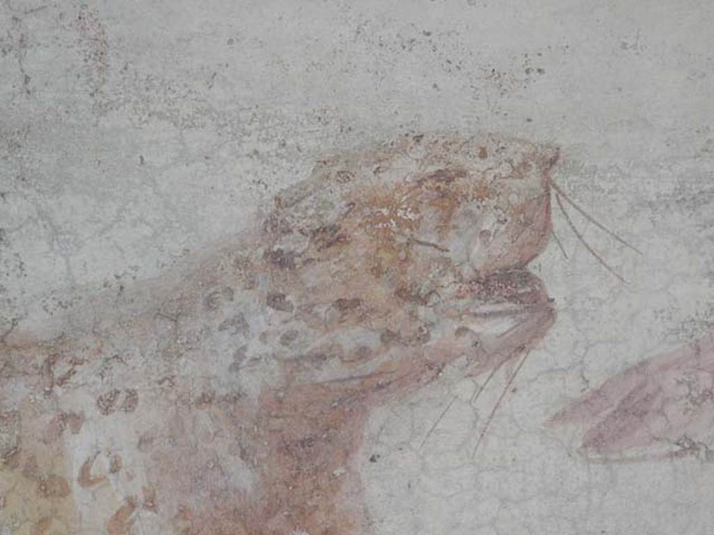 V.4.a Pompeii. May 2015. Detail of large spotted predatory cat on the north wall of the garden. Photo courtesy of Buzz Ferebee.