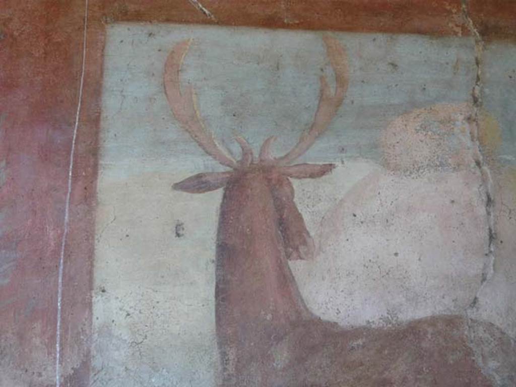 V.4.a Pompeii. May 2012. Close-up of a stag with full antlers seen from behind on the north wall of the garden.
Photo courtesy of Buzz Ferebee.