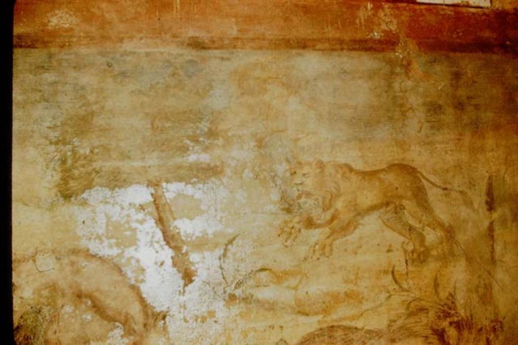 V.4.a Pompeii. 1957. Springing lioness, detail from north wall of garden, at east end. Photo by Stanley A. Jashemski.
Source: The Wilhelmina and Stanley A. Jashemski archive in the University of Maryland Library, Special Collections (See collection page) and made available under the Creative Commons Attribution-Non Commercial License v.4. See Licence and use details.
J57f0364