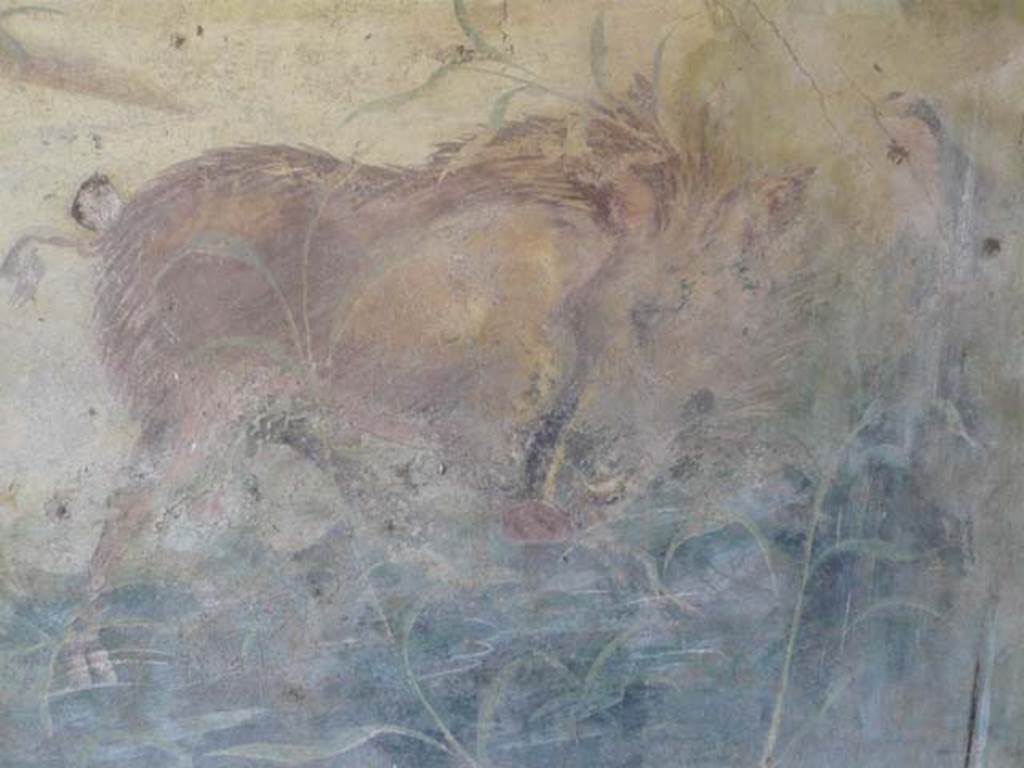 V.4.a Pompeii. May 2012. Close-up of a wild boar on the north wall of the garden.
Photo courtesy of Buzz Ferebee.