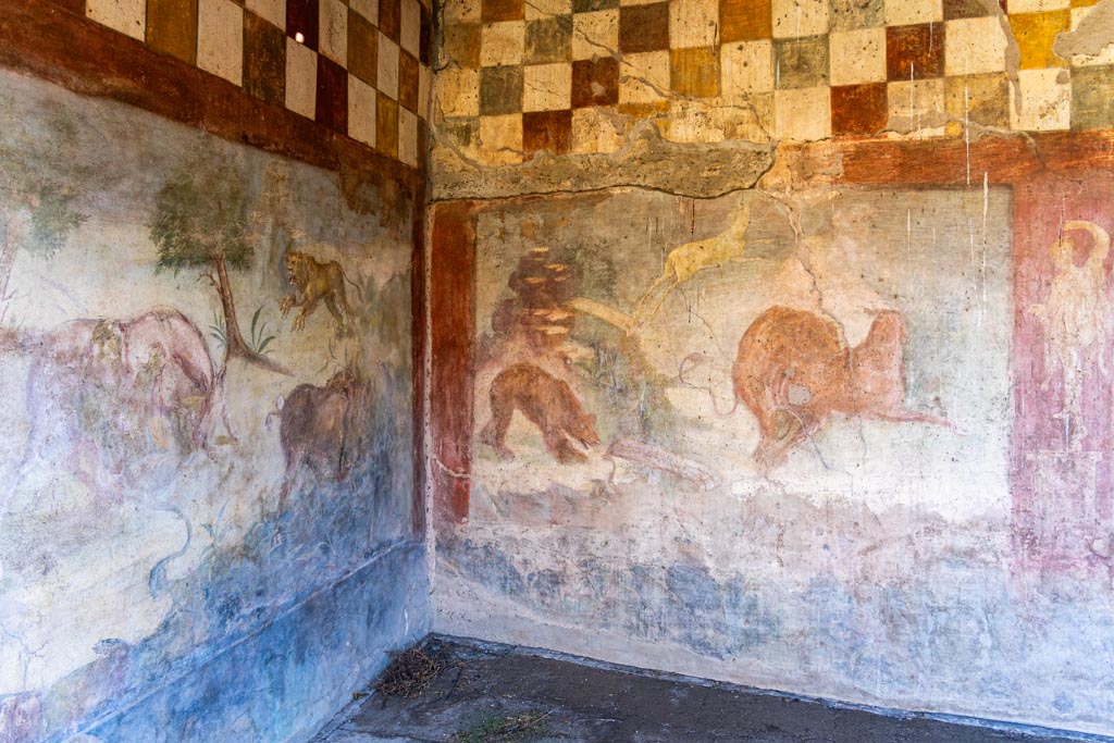V.4.a Pompeii. October 2023.
Room ‘l’ (L), hunting fresco with life size animals on north-east corner wall of garden area. Photo courtesy of Johannes Eber.