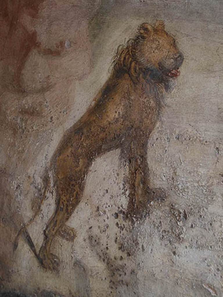 V.4.a Pompeii. May 2014. Hunting fresco of lion, from south wall of garden area. Photo courtesy of Paula Lock.
