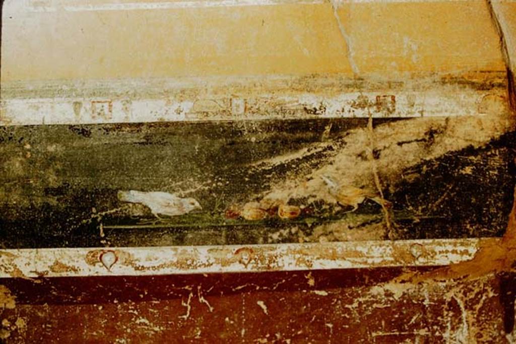 V.4.a Pompeii. 1957. North wall, east side of entrance doorway, cubiculum on south side of Atrium.
Photo by Stanley A. Jashemski.
Source: The Wilhelmina and Stanley A. Jashemski archive in the University of Maryland Library, Special Collections (See collection page) and made available under the Creative Commons Attribution-Non Commercial License v.4. See Licence and use details.
J57f0289