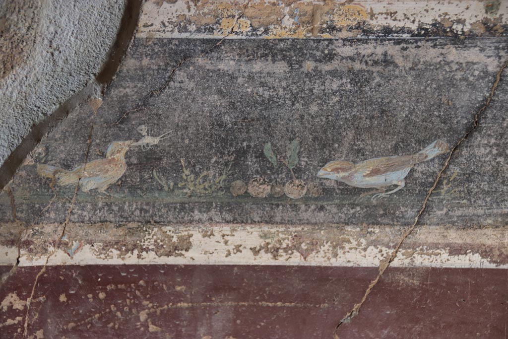 V.4.a Pompeii. October 2023.
Room ‘g’, detail of painted birds from predella above zoccolo on lower east wall towards north end. Photo courtesy of Klaus Heese.