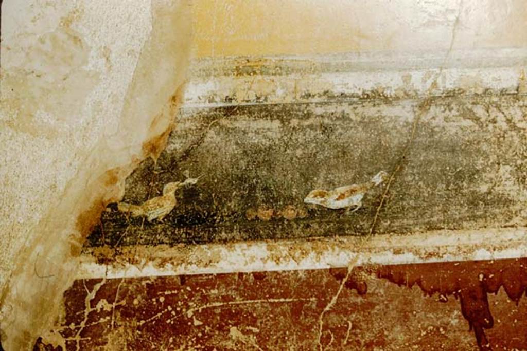 V.4.a Pompeii. 1957. Second panel from north end of east wall of cubiculum on south side of atrium.
Photo by Stanley A. Jashemski.
Source: The Wilhelmina and Stanley A. Jashemski archive in the University of Maryland Library, Special Collections (See collection page) and made available under the Creative Commons Attribution-Non Commercial License v.4. See Licence and use details.
J57f0290