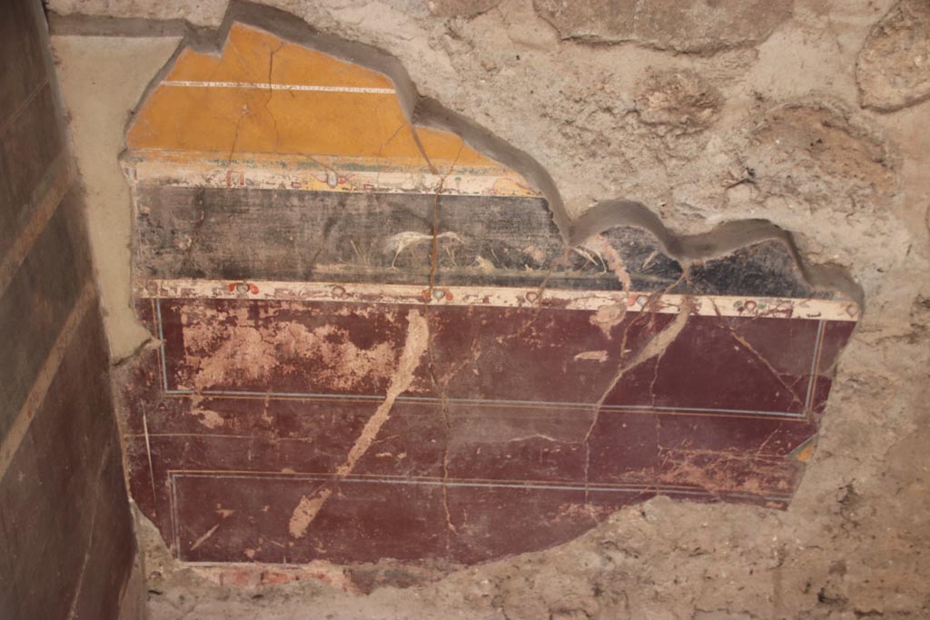 V.4.a Pompeii. October 2023.
Room ‘g’, remaining zoccolo on lower south wall with painting of birds above it. Photo courtesy of Klaus Heese.