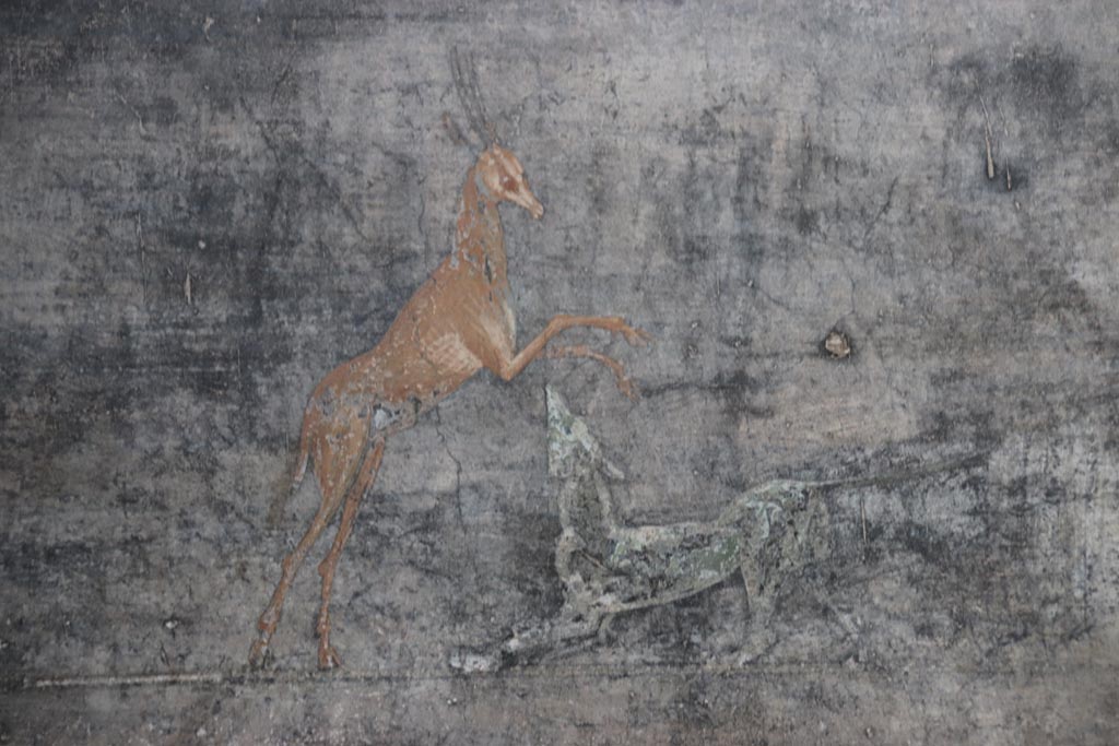V.4.a Pompeii. October 2023.
Room ‘b’, detail of painted deer and dog from centre of second panel from west side on north wall. Photo courtesy of Klaus Heese.