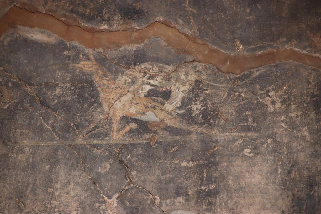 V.4.a Pompeii. October 2023.
Room ‘b’, detail of painted decoration from upper east wall in centre above opening into tablinum. Photo courtesy of Klaus Heese.