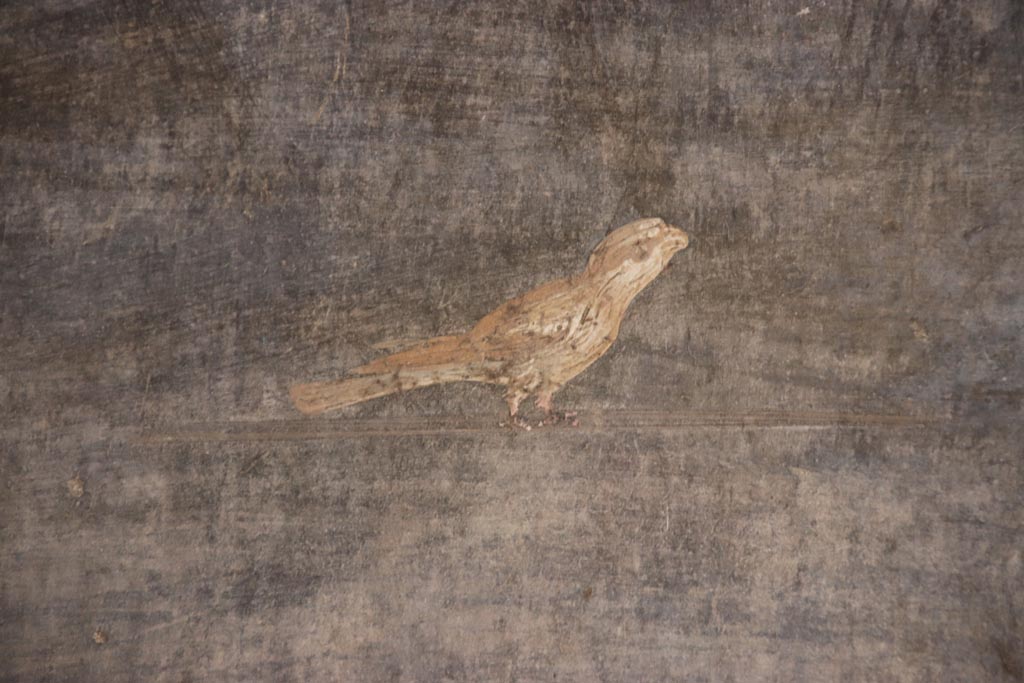 V.4.a Pompeii. October 2023.
South wall of atrium in south-east corner, detail of painted bird. Photo courtesy of Klaus Heese.