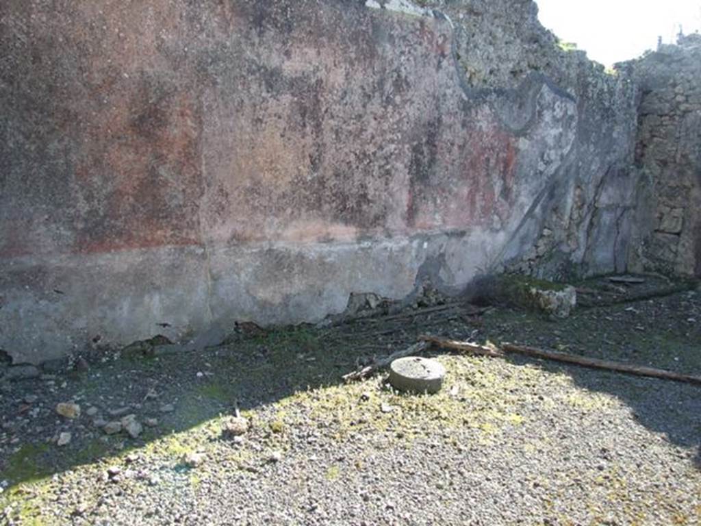 V.4.c Pompeii. March 2009. Room B, south wall of atrium. The best preserved wall of the atrium was the south wall, divided into three large panels, the middle yellow, and the sides red. In the middle of the central panel was a painted flying panther, and in each of the side panels were peacocks with garlands between their feet. The base of the wall was black and divided into panels. See Notizie degli Scavi, 1905, (p.131)