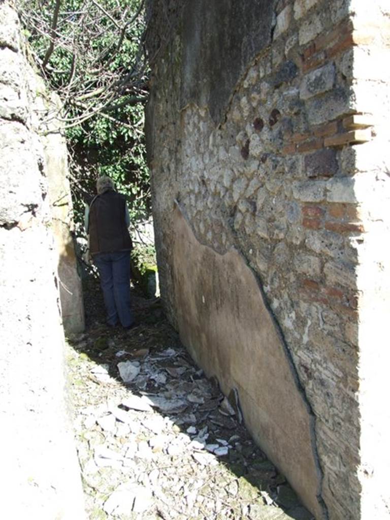 V.4.c Pompeii. March 2009. Room J, andron or corridor to garden area. The corridor had an opus signinum floor and walls of rough plaster, painted in red and black. The garden being at a slightly higher level than the corridor, there would have been one step of wood in the eastern end of the corridor. See Notizie degli Scavi, 1905, p.135.