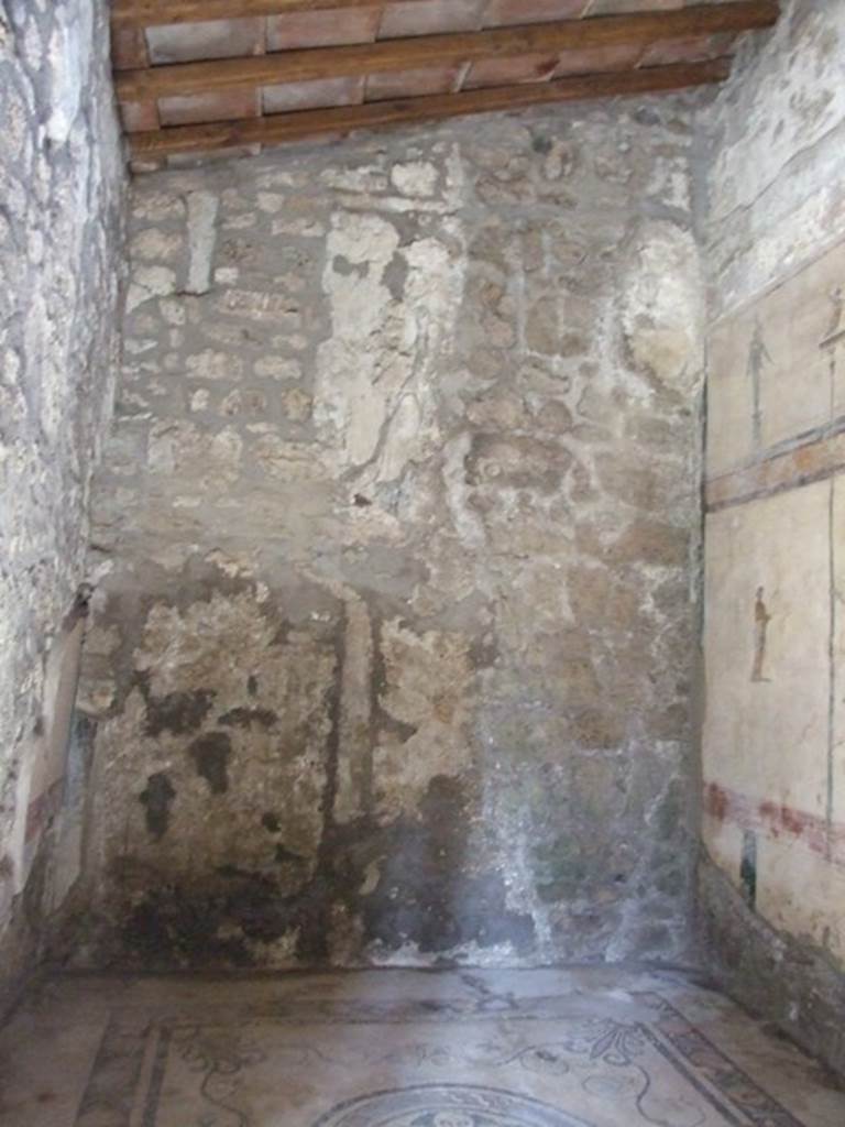 V.5.3 Pompeii. March 2009. Room 6.Triclinium. North wall.