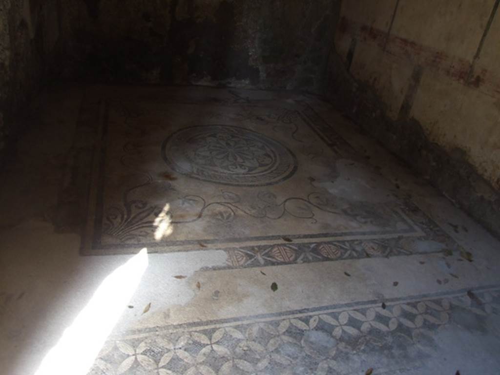 V.5.3 Pompeii. March 2009. Room 6. Triclinium. Mosaic floor.