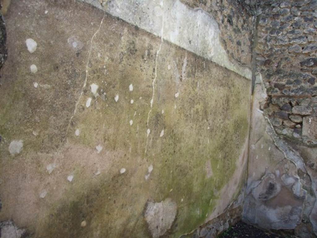 V.5.3 Pompeii. March 2009. Room 12. South wall.
