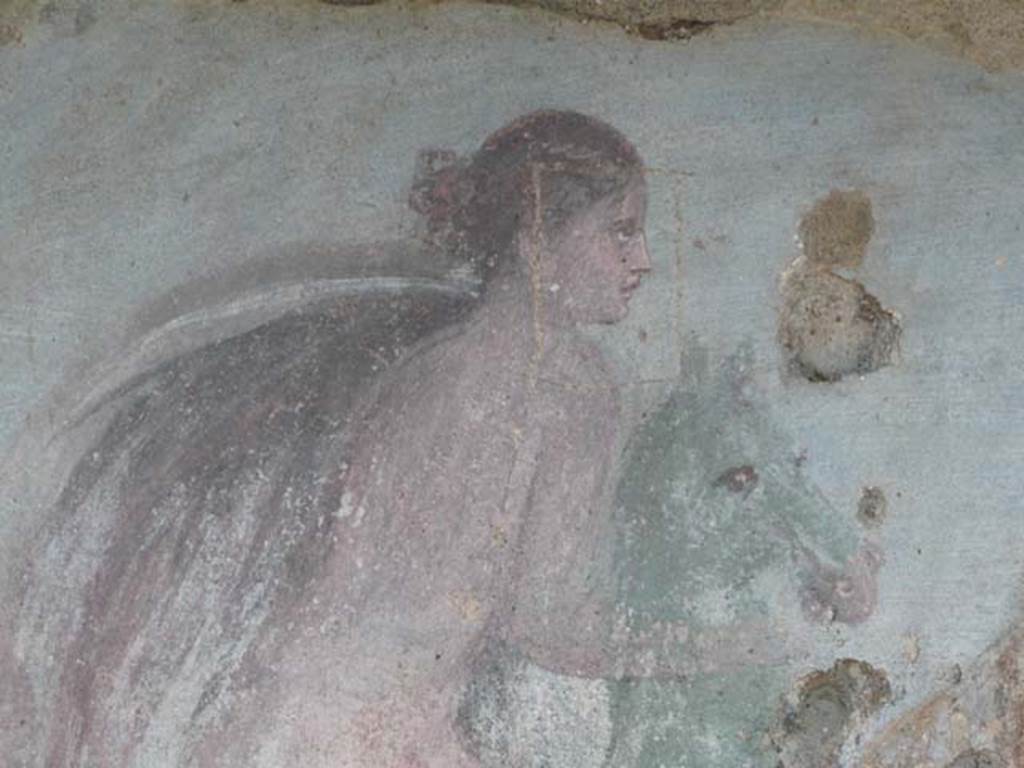 V.5.3 Pompeii. May 2012. Room 7, detail from Painting 2 in north-east corner of peristyle. Photo courtesy of Buzz Ferebee.