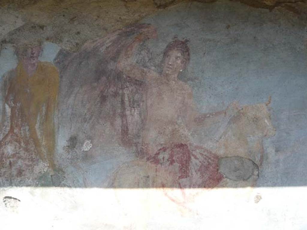 V.5.3 Pompeii. May 2012. Room 7, detail from Painting 2 in north-east corner of peristyle. Photo courtesy of Buzz Ferebee.