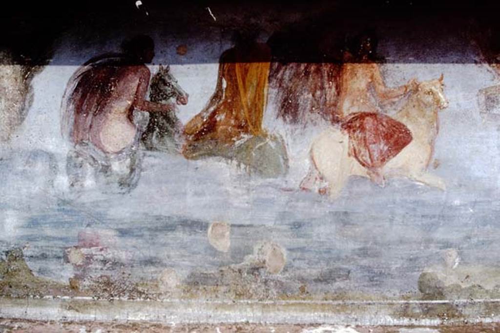 V.5.3 Pompeii. 1968. Room 7, peristyle - Painting 2. Photo by Stanley A. Jashemski.
Source: The Wilhelmina and Stanley A. Jashemski archive in the University of Maryland Library, Special Collections (See collection page) and made available under the Creative Commons Attribution-Non Commercial License v.4. See Licence and use details.
J68f1617