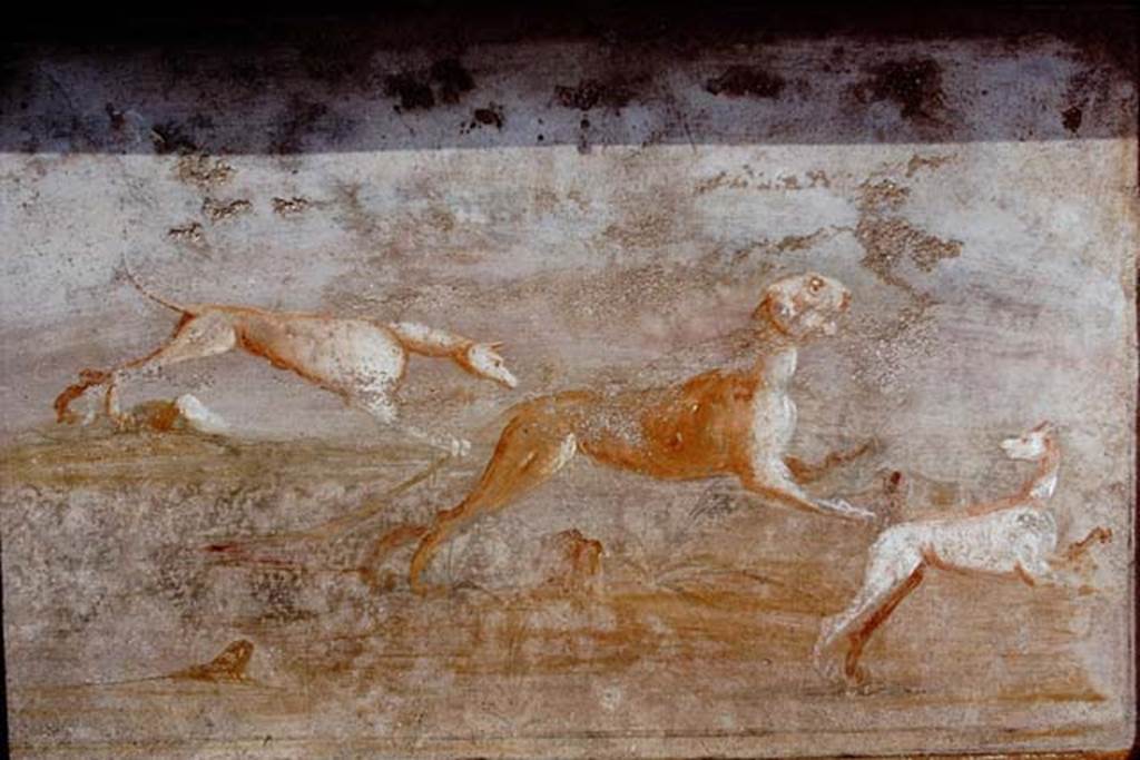 V.5.3 Pompeii. 1968. Room 7, painting 3 on peristyle. Photo by Stanley A. Jashemski.
Source: The Wilhelmina and Stanley A. Jashemski archive in the University of Maryland Library, Special Collections (See collection page) and made available under the Creative Commons Attribution-Non Commercial License v.4. See Licence and use details.
J68f1614