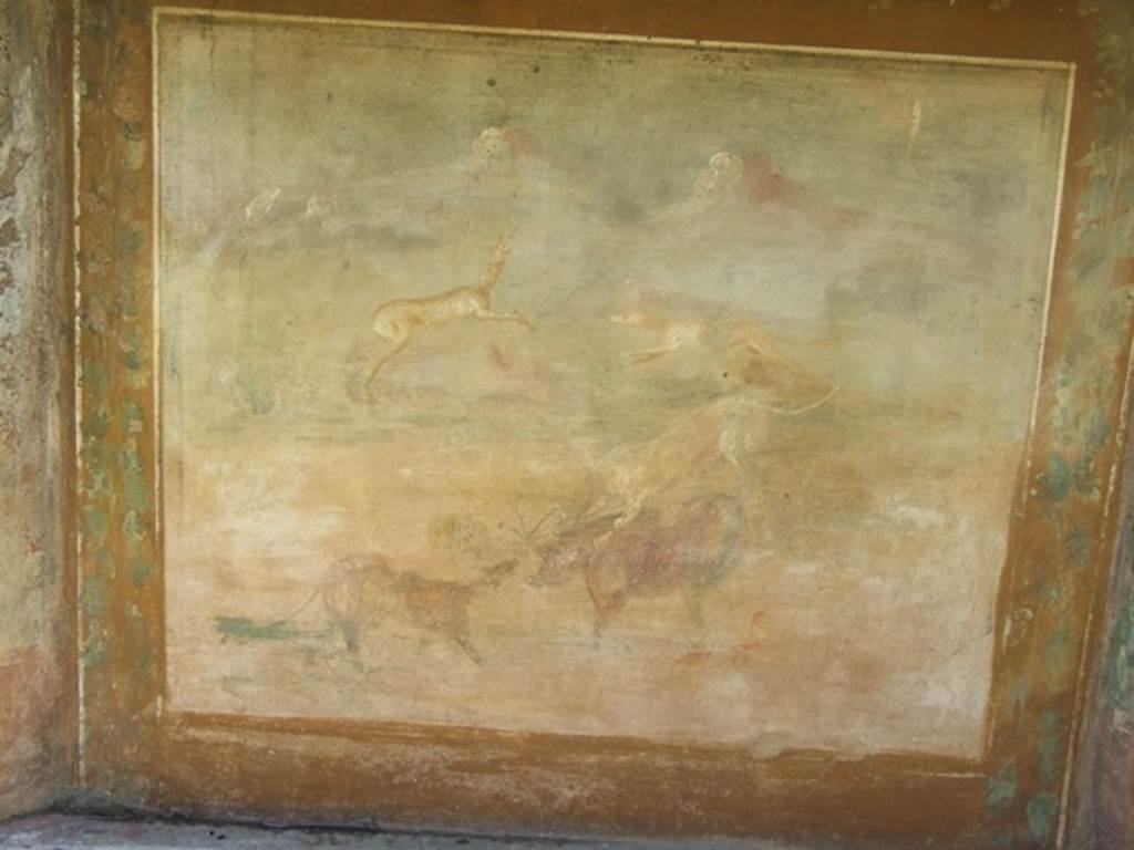 V.5.3 Pompeii. March 2009. Room 7, west side of peristyle in north-west corner. Painting 5 – Animal painting showing a boar being attacked by two dogs. One dog was attacking him from the front, the other leaping onto him from behind. In the background, another dog was attacking a deer. See Notizie degli Scavi di Antichità, 1899, p.349, number 5.