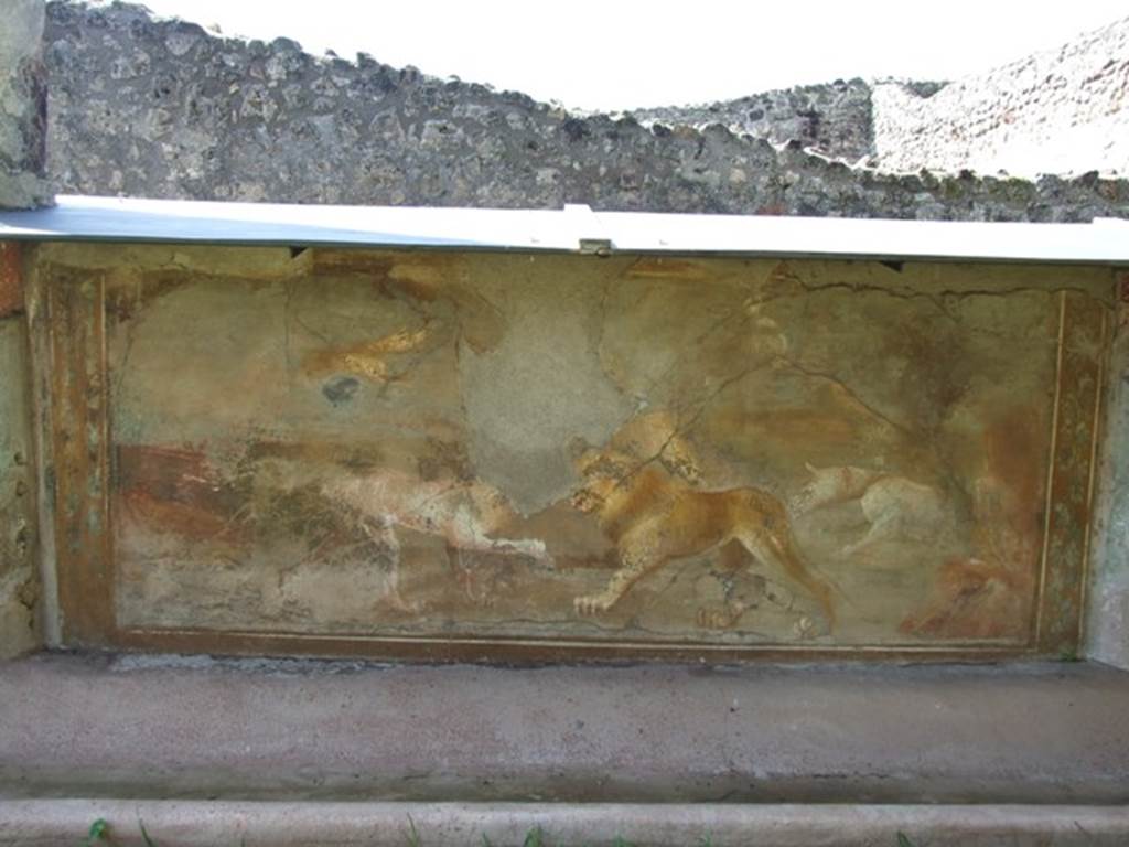 V.5.3 Pompeii. March 2009. Room 7, peristyle. Painting 8 - animal painting showing lion with two dogs, from south end of west side of peristyle. One dog is attacking the lion from the front, the other biting its tail from behind.
In the background, a deer being pursued by a dog. See Not. Scavi, 1899, p.349, number 2.