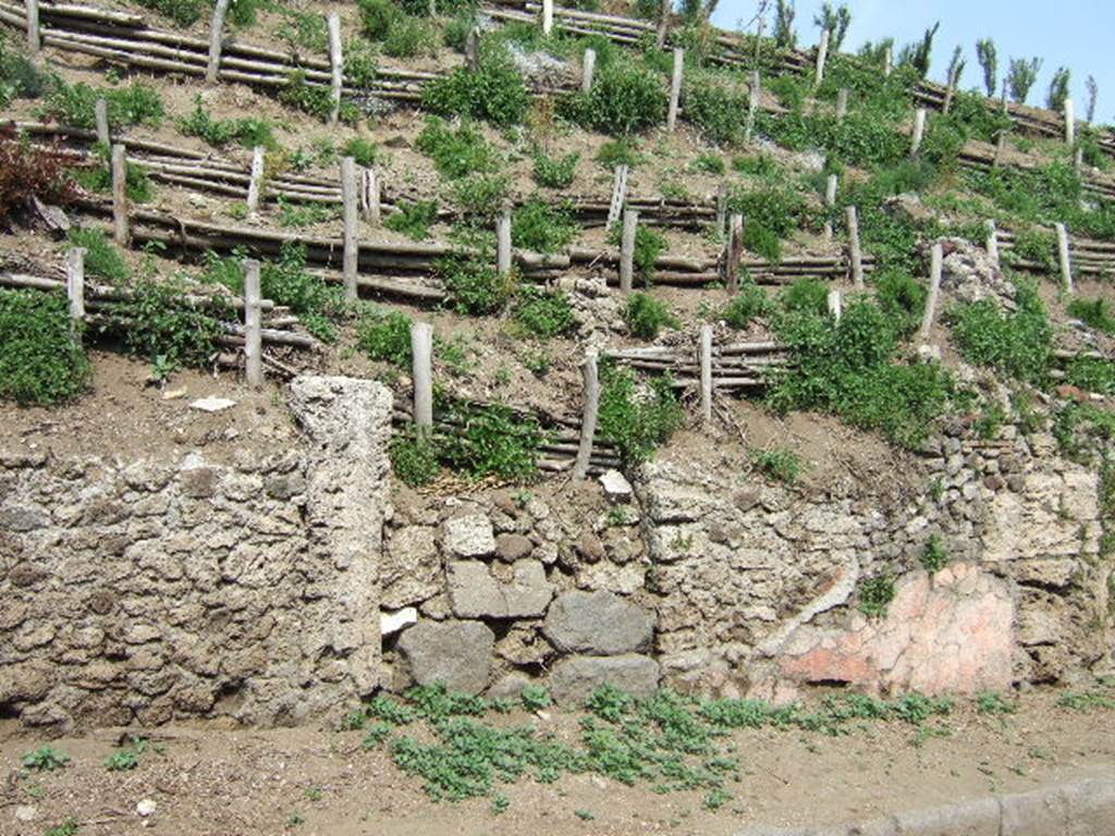 V.6.8 Pompeii. May 2006.
Unexcavated entrance leading to entrance fauces/corridor, with remains of painted plaster, on right.