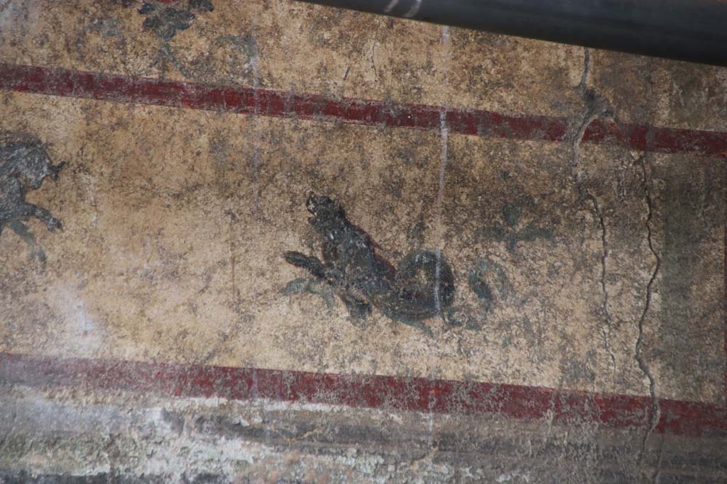 V.6.13 Pompeii, October 2020. North wall, detail of marine creature at east end of panel. Photo courtesy of Klaus Heese.