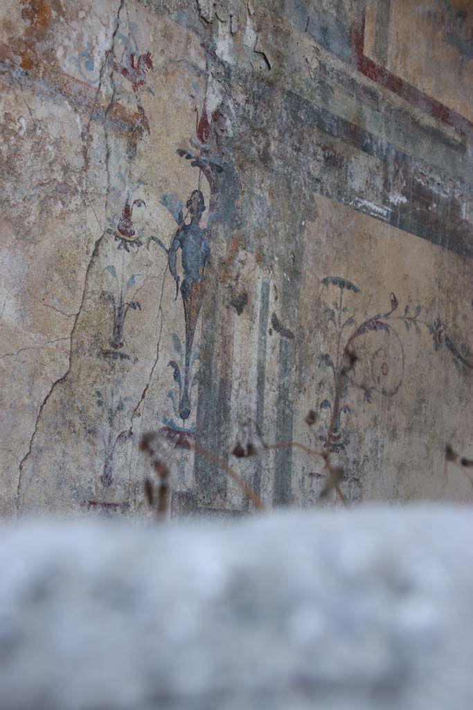 V.6.12 Pompeii, September 2021.
Detail of painted decoration at west end of centre of north wall. Photo courtesy of Klaus Heese.