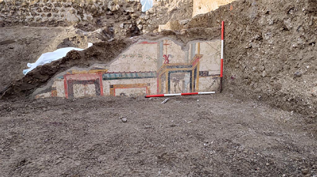 V.6.12 Pompeii, December 2023. Amb. 35, tablinum.
Behind the atrium (room 25), three rooms (35; 44; 45) and a corridor space (44) have emerged.
From the atrium one could access the corridor and room 35 which probably represented a tablinum.
The visible decorative scheme is limited to the upper area and the top part of the middle area. Faux architectures are represented, such as aedicules surmounted by winged griffins and blue pergolas, in turn delimited by red banded squares on a white background. Inside, amphorae framed by garlands. Painted pinakes are placed near the middle register. Between the aedicules there are squares with stylised and monochromatic animal figures
Vedi/See E-Journal 09: 21.12.23, Scavo e restauro della Casa di Leda – Regio V, 6. Nuovi rinvenimenti, p. 4, Fig. 7-8.
Photograph © Parco Archeologico di Pompei.