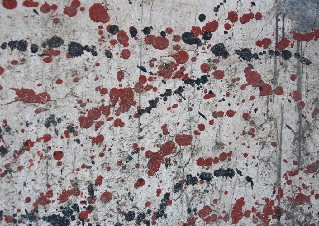 V.6.12 Pompeii, March 2024. Amb. 40, corridor.
The base decorated with a white background, with touches of colour added that recall, in a perfunctory and 'impressionistic' manner, different types of marble.
Vedi/See E-Journal 01: 01.03.24, Interventi conservativi e nuovi scavi nella Casa di Leda. Dalla tutela alla conoscenza di un’abitazione del ceto medio di Pompei, p. 5.
Photograph © Parco Archeologico di Pompei.