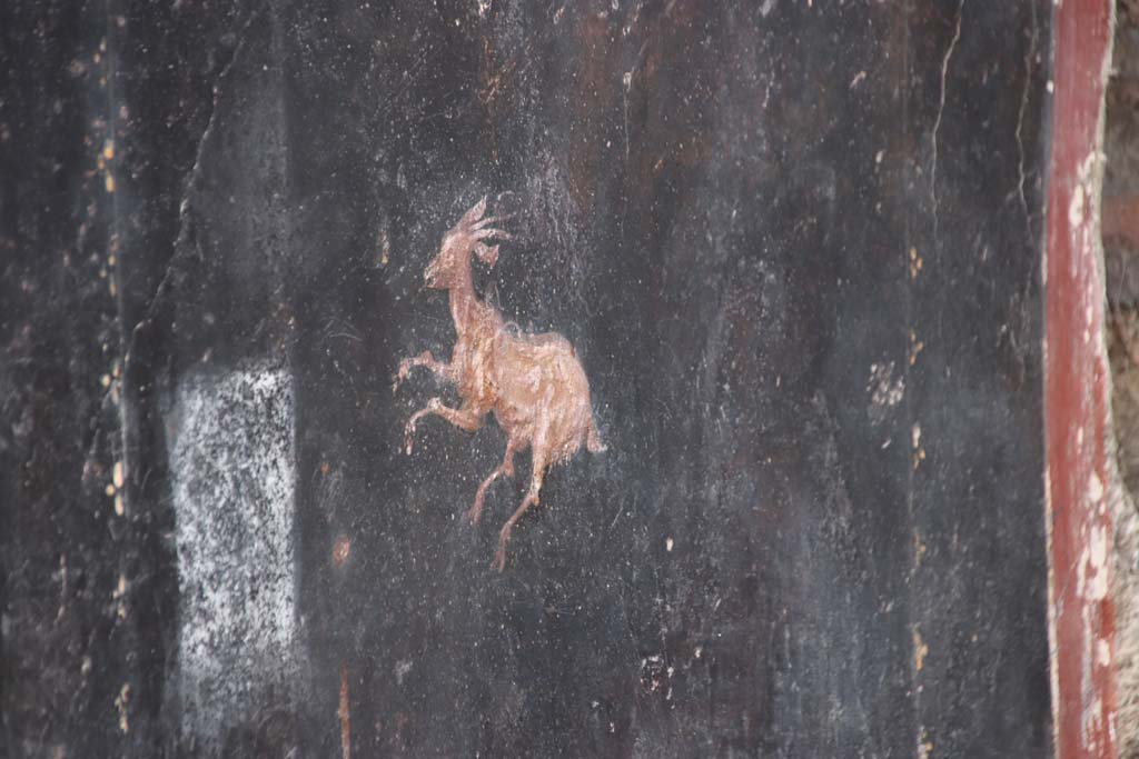 V.6.12 Pompeii. October 2020. Detail of painted animal in centre of panel on east side of red central panel on north wall.
Photo courtesy of Klaus Heese.