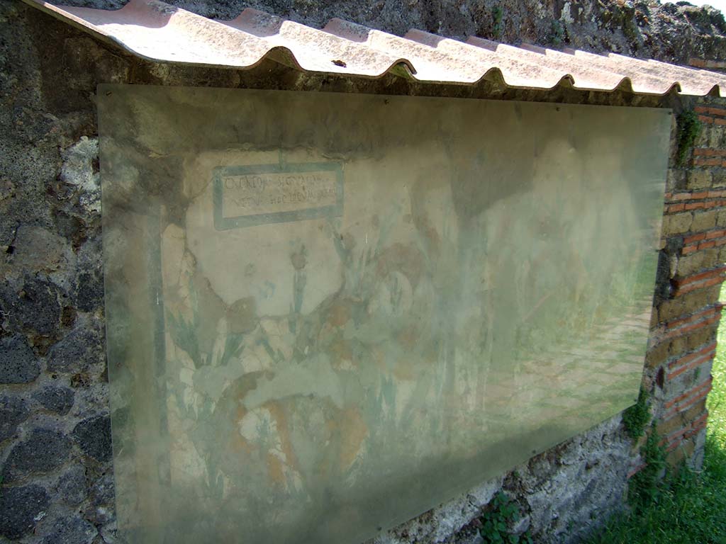 V.6.19 Pompeii. May 2006. Lararium painted on the wall at V.6.19.
This shows two serpents moving through plants to an altar that had offerings on it.
In the top left-hand side, CIL IV 6641 can be seen, written in the painted rectangle.