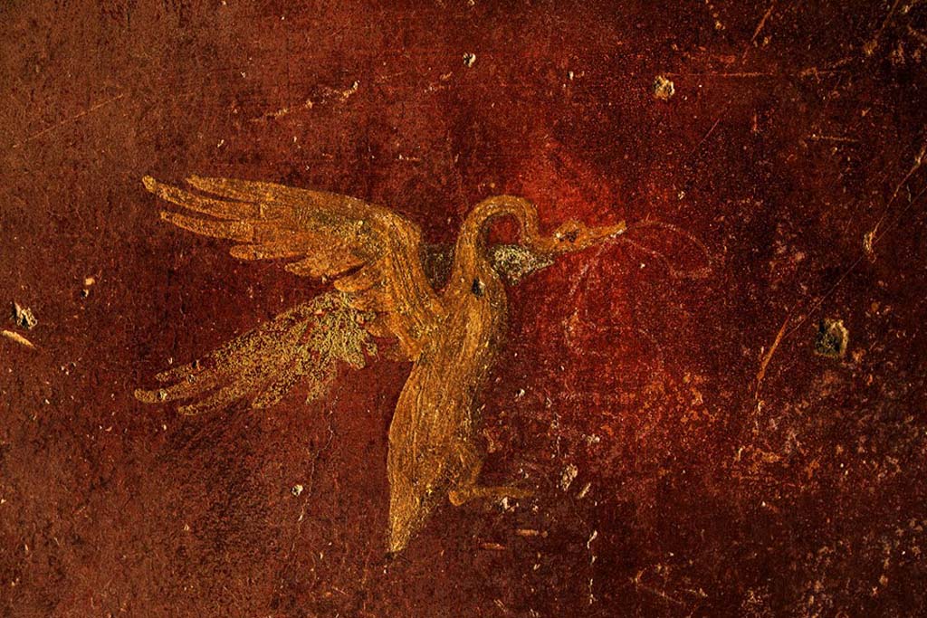 V.7.7 Pompeii. 2018. East wall? Painted swan with ribbon in its beak.
Photograph © Parco Archeologico di Pompei.