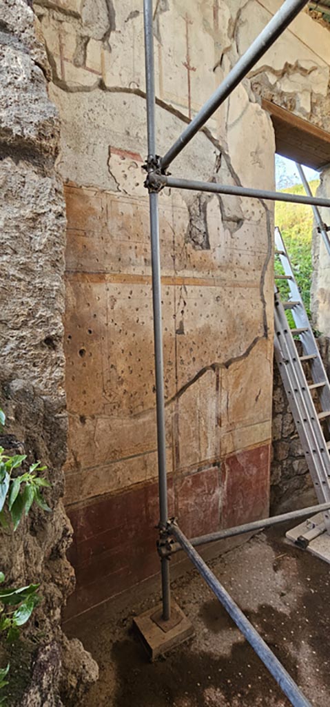 V.7.7 Pompeii. December 2023.
Detail from north wall on west side of doorway. Photo courtesy of Miriam Colomer.