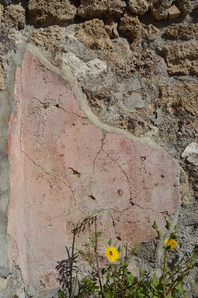 VI.1.5 Pompeii. March 2019.
Looking east to west exterior wall, with detail of remaining plaster/stucco.
Foto Taylor Lauritsen, ERC Grant 681269 DÉCOR.
