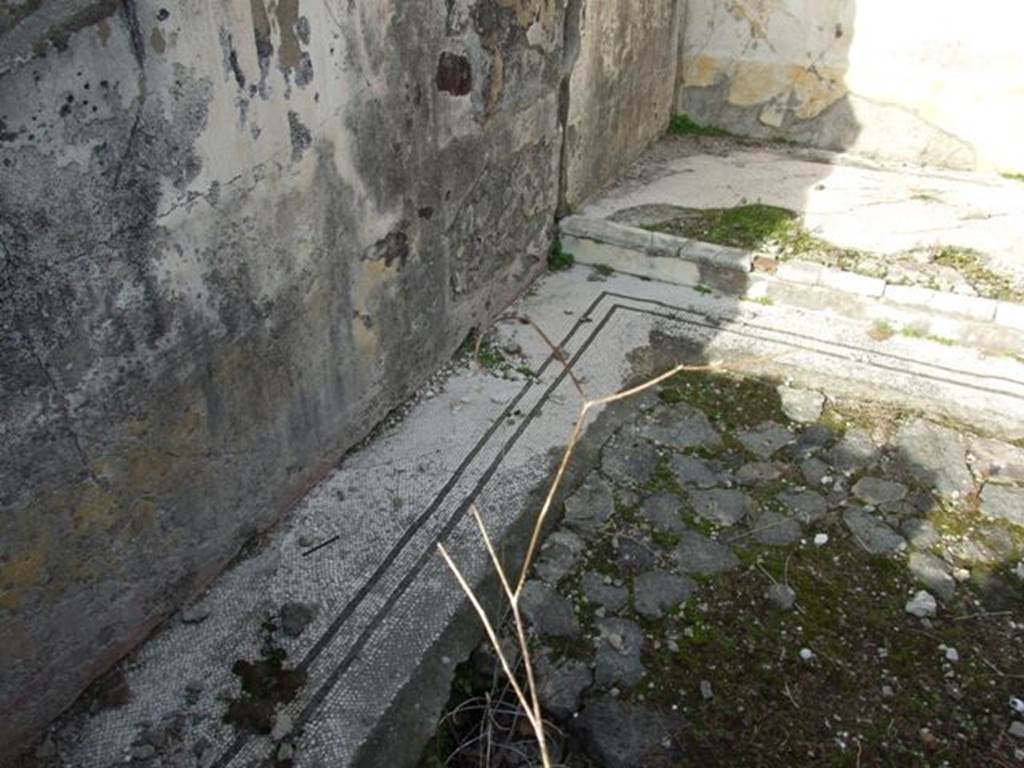 VI.1.7 House of the Vestals. Mosaic floor of room 38.