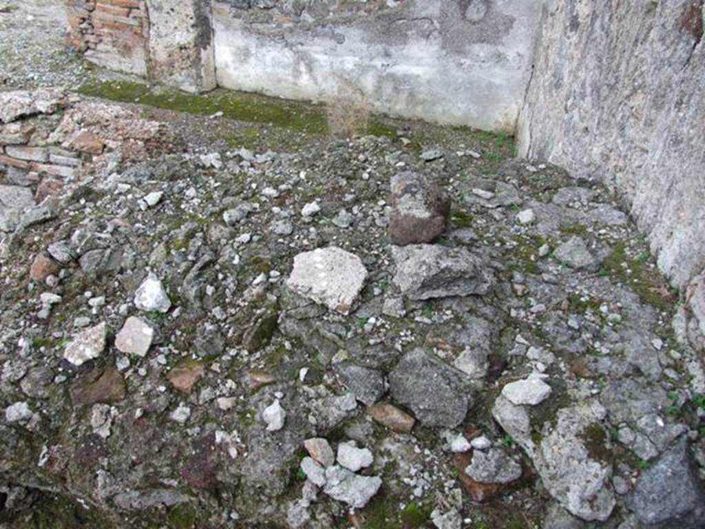VI.1.7 House of the Vestals. Room 41. Pool?