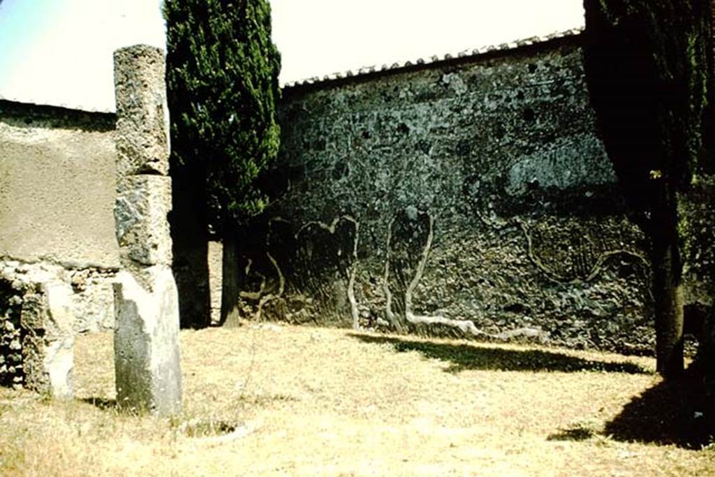 VI.1.10 Pompeii. 1957. Looking towards east wall of garden area. Photo by Stanley A. Jashemski.
Source: The Wilhelmina and Stanley A. Jashemski archive in the University of Maryland Library, Special Collections (See collection page) and made available under the Creative Commons Attribution-Non Commercial License v.4. See Licence and use details.
J57f0164
